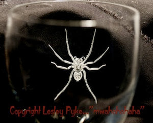 Arachnophobia by Lesley Pyke Glass Engraving Ltd