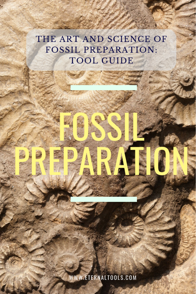 The Art And Science Of Fossil Preparation: Tools Guide – Eternal Tools