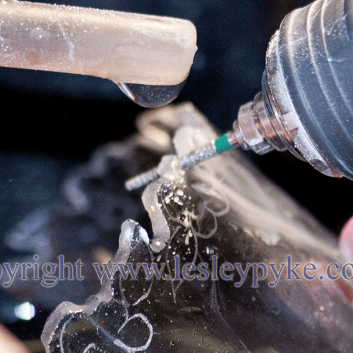 Glass engraving by Lesley Pyke using a diamond FG coarse cone burr