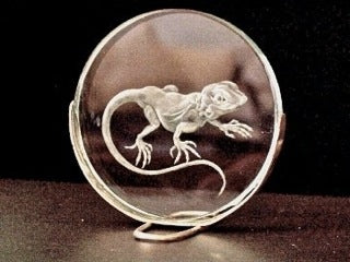 Lizard Glass Engraving by Margot May Designs