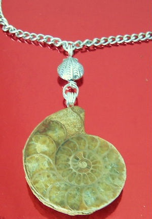 Funky Fossil Ammonite Necklace